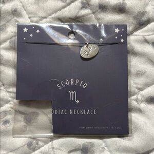 Scorpio Zodiac Necklace with Silver Charm